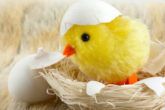 Toy baby chicken with eggshell