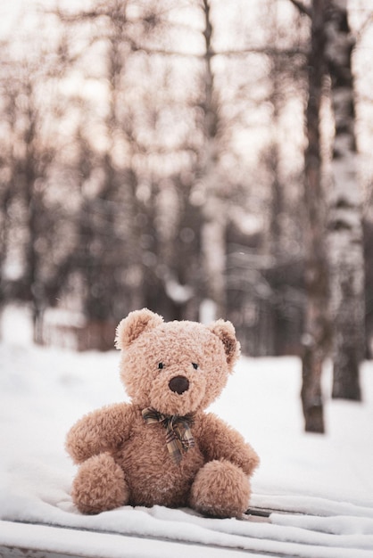 Photo the toy bear was left in the winter at the children's playground