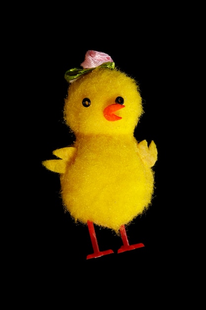 Toy chicken isolated on black background. little yellow funny chicken. High quality photo