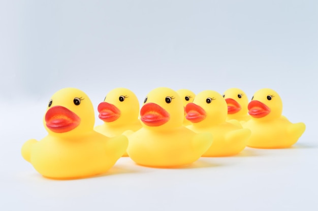 Toy ducks standing together in a row Teamwork and togetherness concept