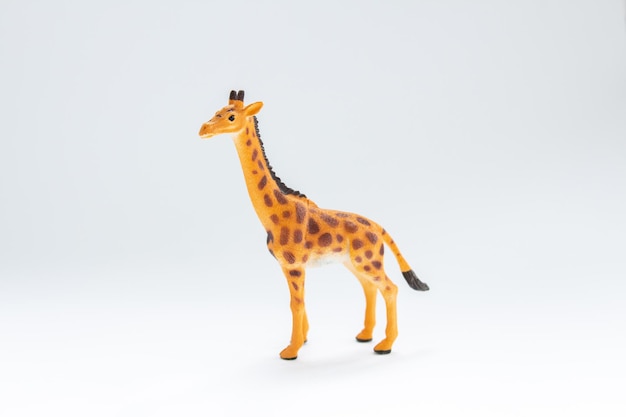 Toy giraffe on a white background