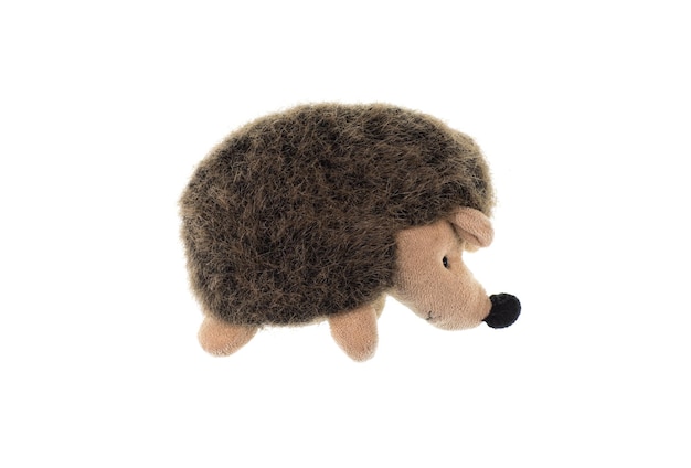 toy hedgehog isolated on white background