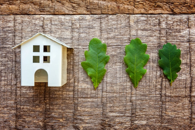 Toy House and green oak leaves on wooden background