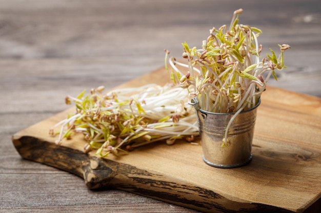 木製の背景に発芽した緑豆とおもちゃの金属製のバケツ