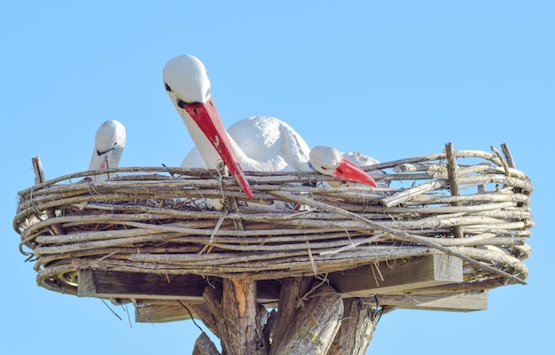 Toy nest of a stork with birds on it Artificial images of fauna