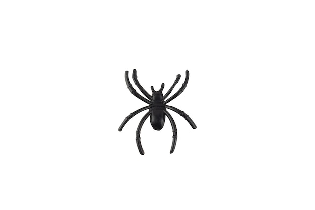 Toy plastic black spider, isolated on white background