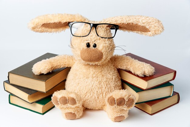 Игрушечный кролик в очках сидит возле стопки книг.