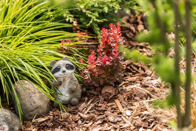 Procione giocattolo tra le piante del giardino