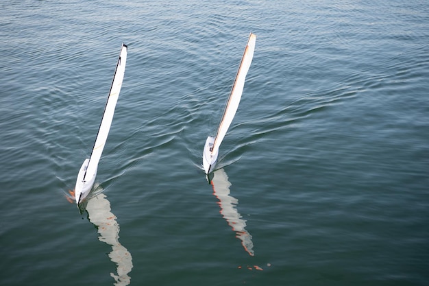 Toy sailboats model ships sail in sea, sailing.