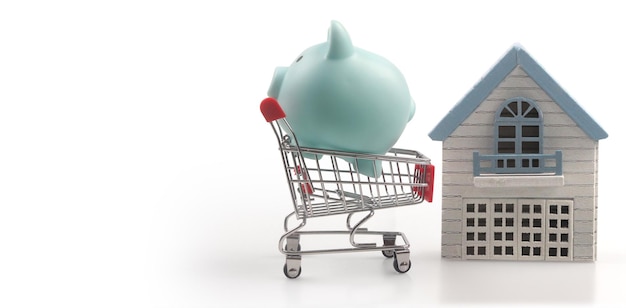 Toy shopping cart and Piggy bank Consumer society trend and Model house