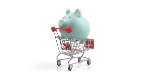 Toy shopping cart and Piggy bank Consumer society trend