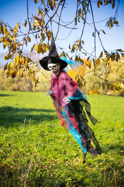 Photo toy skeleton in witch costume hung in background of bush and yellow autumn leaves