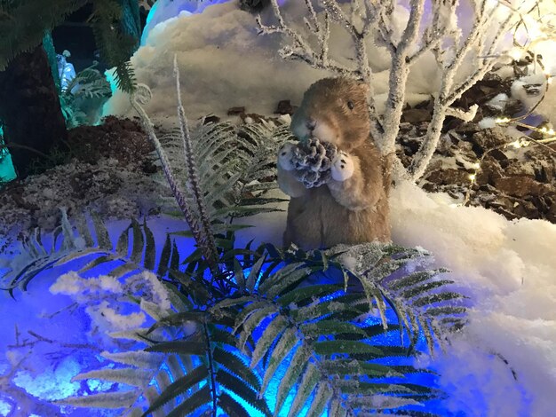 Foto zecca giocattolo o gopher seduto su un ramo di abete soffice buon natale e buon anno nuovo