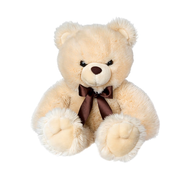 Toy teddy bear isolated on white surface