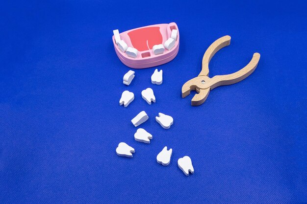 Toy teeth on a blue background stomatologist toy set