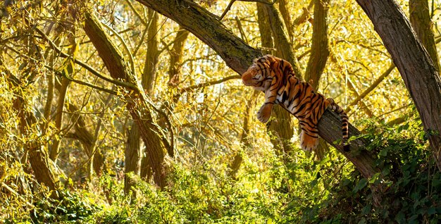 Photo toy tiger on a tree