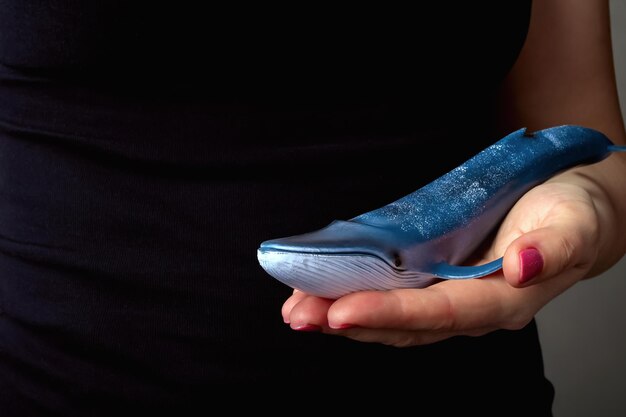 Toy whale in hands of woman in black clothes concept of world
whale and ocean days