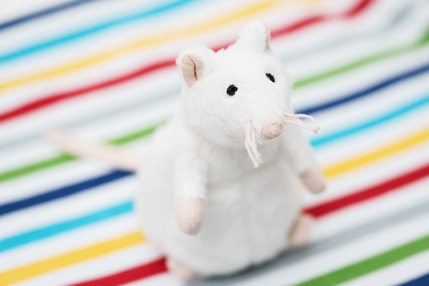 Toy white rat in the colorful strip background.