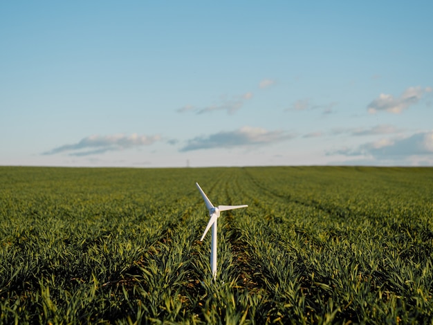 Toy wind turbine on a green wheat field