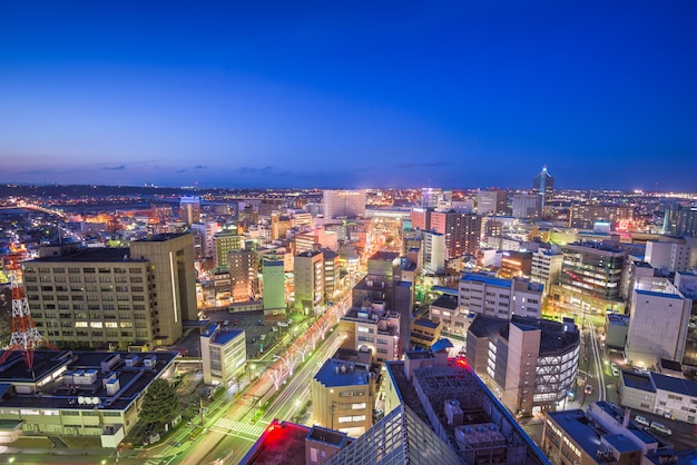 Toyama City Japan Downtown Skyline