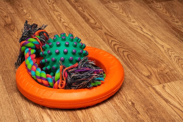 Toys for dogs on a wooden background