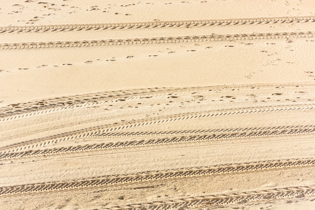 Traces of car tires on the sand as a background