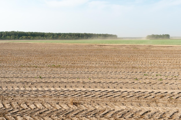 Traces of cleaning equipment on the sand An empty field after harvesting Dry lifeless ground closeup with traces of heavy machinery Agricultural field