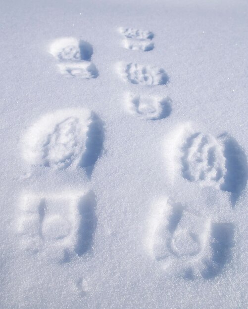 晴れた日の新雪の中の靴の痕跡