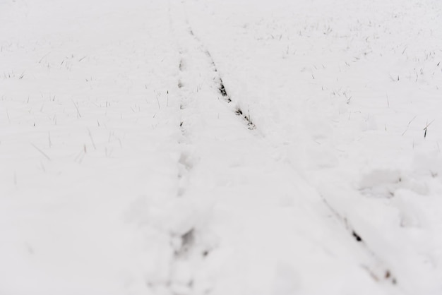 Traces of sledding in the snow winter