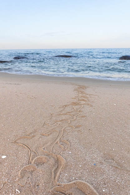 砂の中のヘビの痕跡。砂のテクスチャ。茶色の砂からの背景