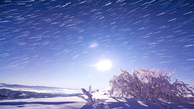 Traces of stars against the night sky shot long exposure