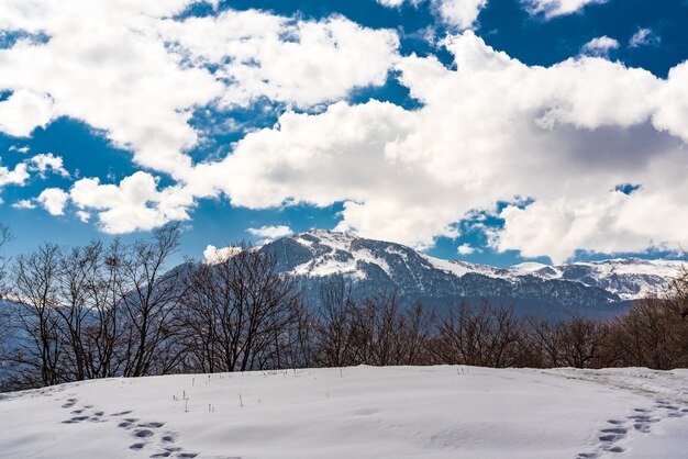 Traces of wild animals on deep snow, winter landscape