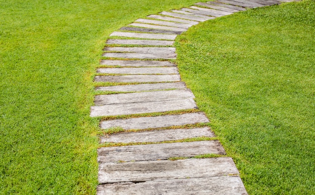 Track of logs driven into the ground close-up