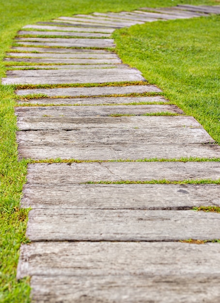 Track of logs driven into the ground close-up