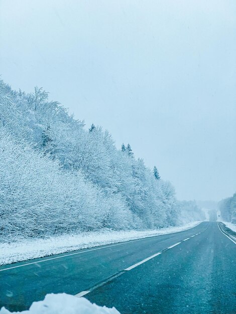 冬の風景と雪に覆われた木々を追跡します