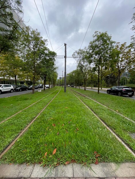 曇りの日にビルバオの路面電車の庭を追跡します。