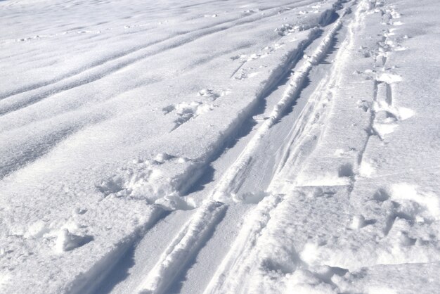 雪の中でスキーツアーのトラック