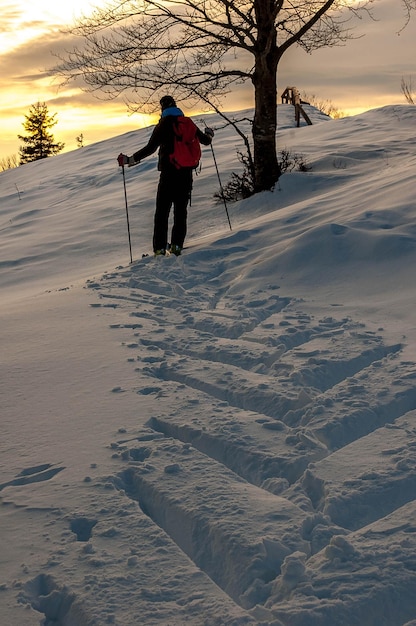 Tracks in the snow with ski touring