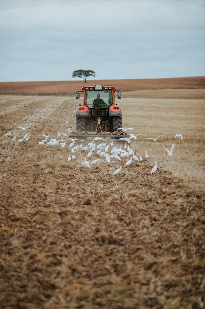 Foto trattorio sul campo agricolo contro il cielo