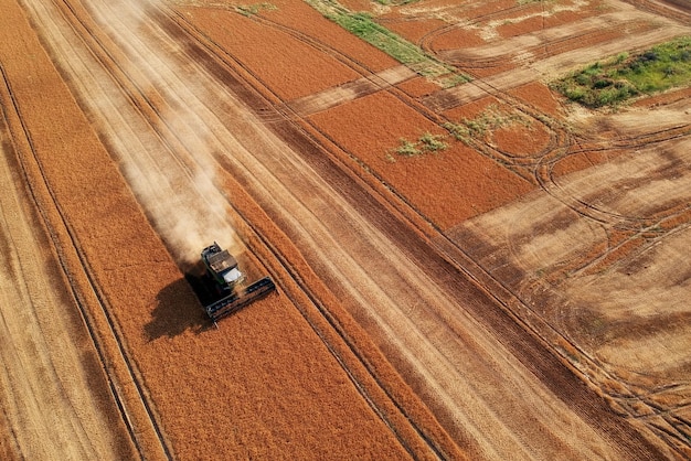 Foto trattore sul campo agricolo