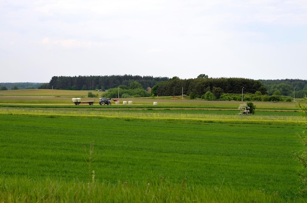 Tractor collects bales of hay in the countryside