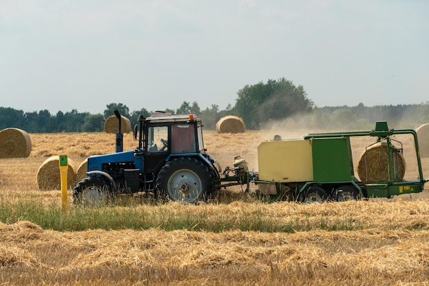 Tractor collects hay bales in the fields A tractor with a trailer baling machine collects straw and makes round large bales for drying and hauling hay A worker on an agricultural tractor