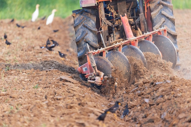 Tractor cultivating field for preparing farmland