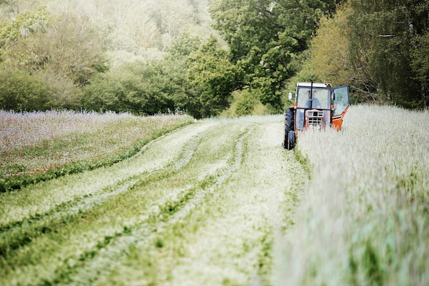 A tractor cutting a swathe through tall grasses and flowers in a field.