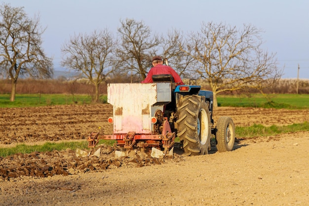 Trattore nel campo che pianta le patate nei campi agricoli fertili