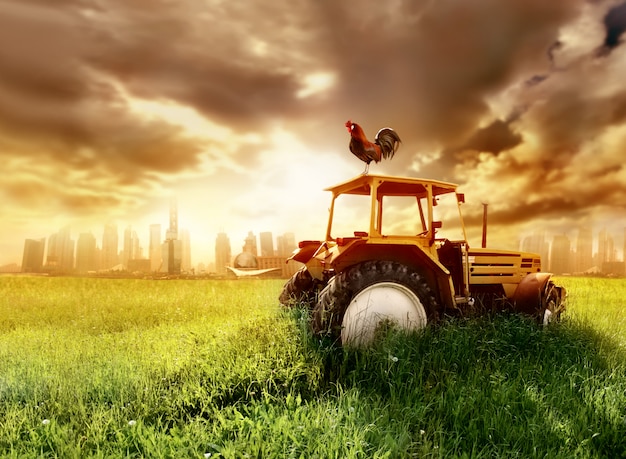 Tractor on a field