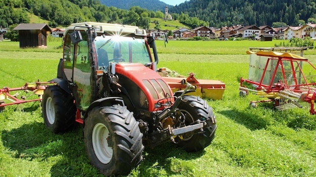 Foto trattorio su campo erboso