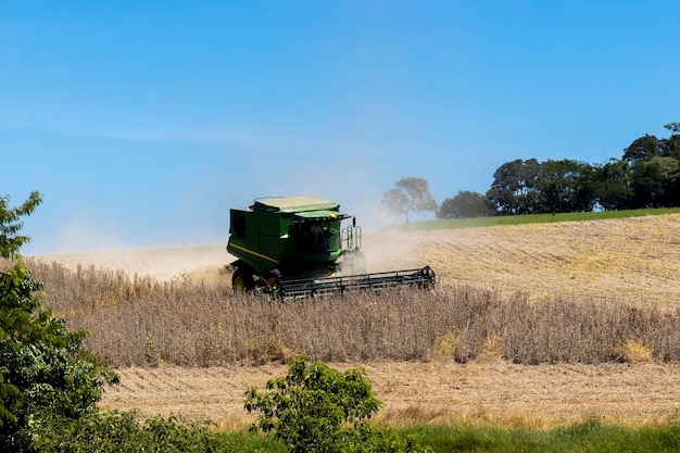 Tractor harvesting soybeans on a farm in Brazil