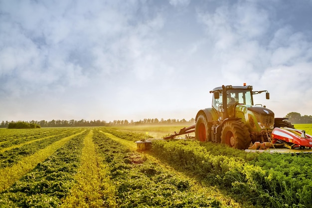 Photo tractor makes harvesting hay for animals on a farm