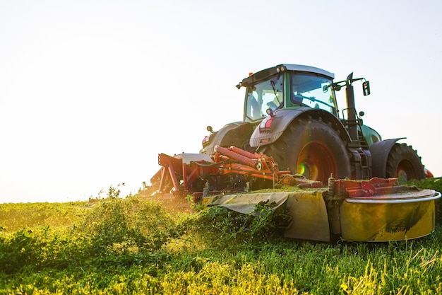 Tractor makes harvesting hay for animals on a farm